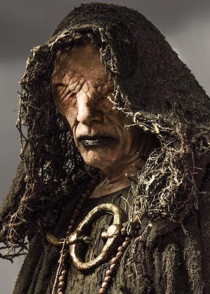 John Kavanagh as The Seer in Vikings